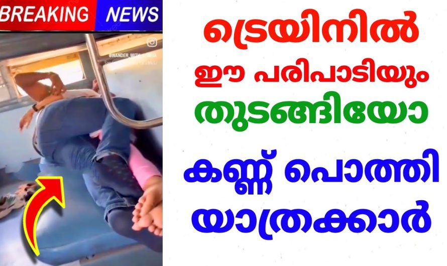 ഓടുന്ന ട്രെയിനിൽ ഈ യുവതിയും യുവാവും ചെയ്തത് കണ്ടാൽ നിങ്ങൾ ഞെട്ടും..