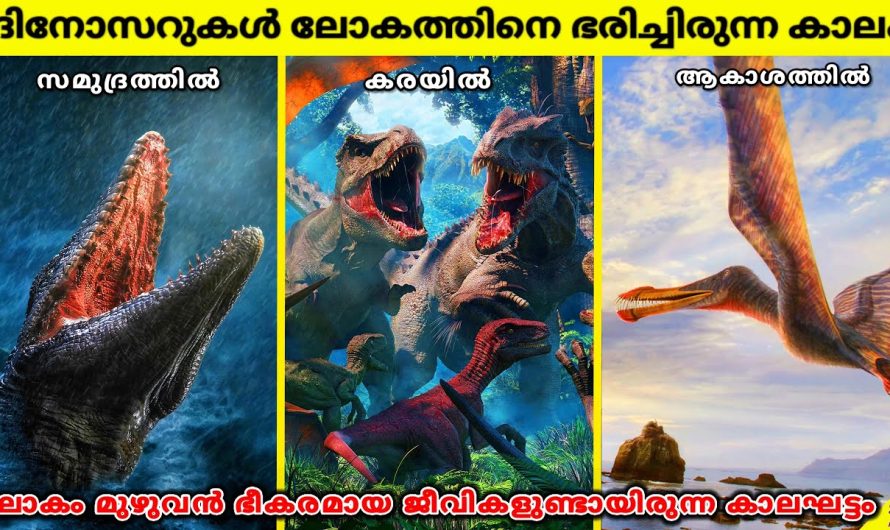 പുരാതന ഭൂമി: ദിനോസറുകളുടെ പ്രായം | ഭൂമിയുടെ ചരിത്രം