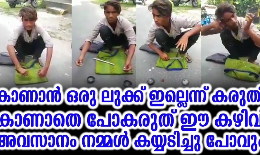 കാണാൻ ഒരു ലുക്ക് ഇല്ലെന്ന് കരുതി കാണാതെ പോകരുത് ഈ കഴിവ്