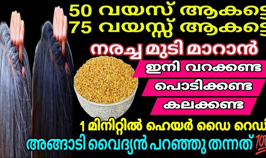 ഏതു പ്രായക്കാർക്കും ഒറ്റ മിനിറ്റിൽ മുടി കറുപ്പിക്കാൻ ഇതു മതി