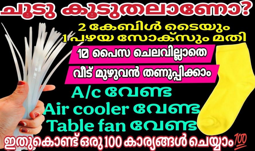 ചൂടിലും തണുത്ത് വിറച്ച് ഉറങ്ങാം | കരണ്ട് ബില്ല് പേടിക്കാതെ