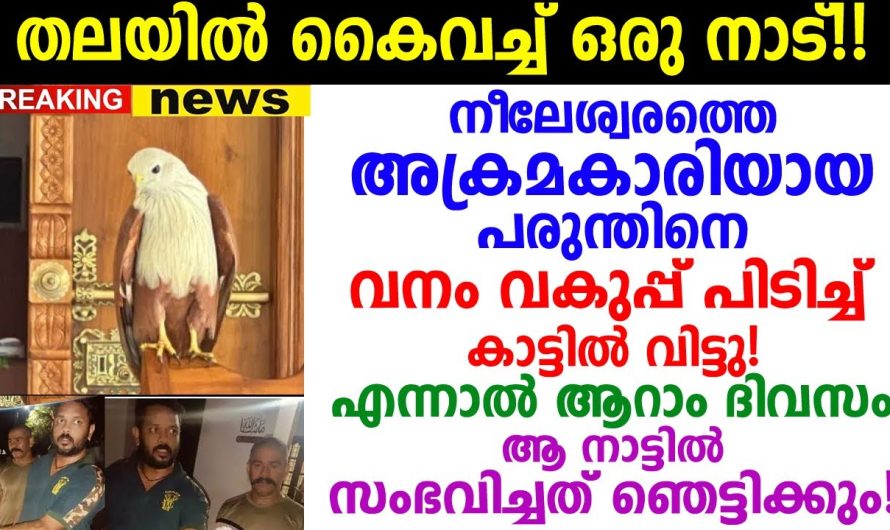സംഭവിച്ചതറിഞ്ഞ് ഞെട്ടി കേരളക്കര! നീലേശ്വരത്ത് സംഭവിച്ചത് കണ്ടോ..!!!