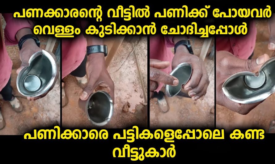 വീടിന്റെ പണിക്ക് പോയ പണിക്കാർക്ക് ഉണ്ടായ അനുഭവം വീഡിയോ കണ്ടാൽ മനസ്സിലാവും