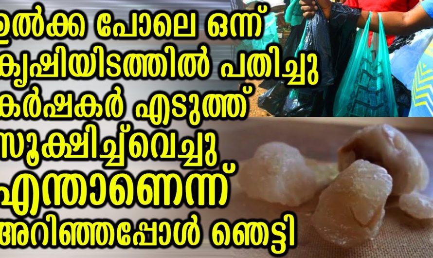 ഉൽക്ക പോലെ ഒന്ന് കൃഷിയിടത്തിൽ പതിച്ചു എന്താണെന്നു അറിഞ്ഞപ്പോൾ ഞെട്ടി