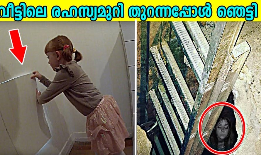 വീട്ടിലെ രഹസ്യമുറി തുറന്നപ്പോൾ ഞെട്ടി