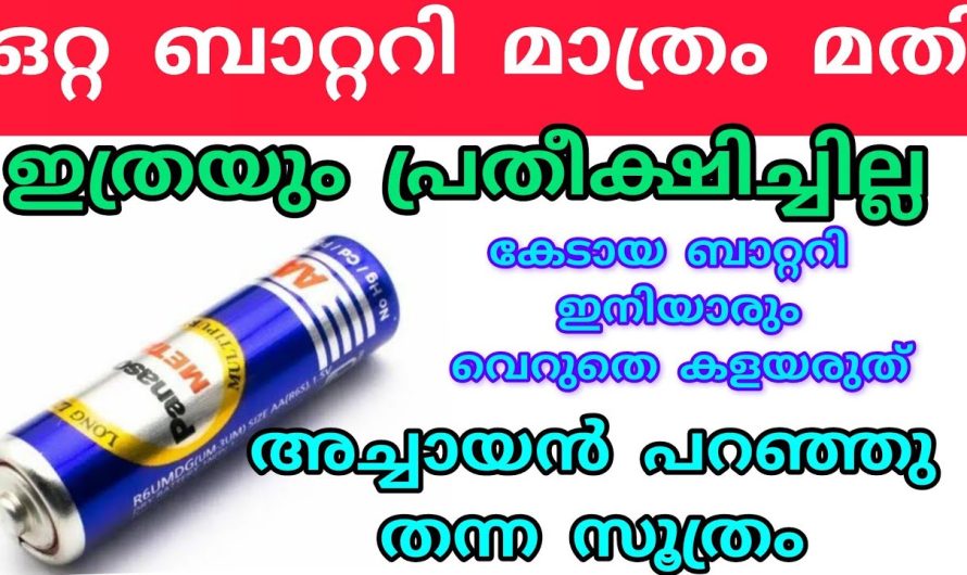 കേടായ ബാറ്ററി ഇതുപോലെ ചെയ്തു നോക്കൂ