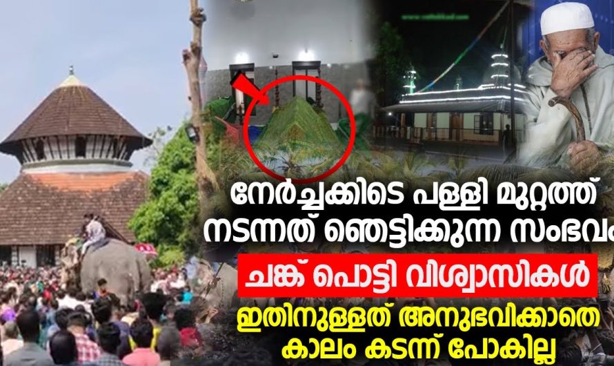 നേർച്ചക്കിടെ പള്ളി മുറ്റത്ത് നടന്നത് ഞെട്ടിക്കുന്ന സംഭവം