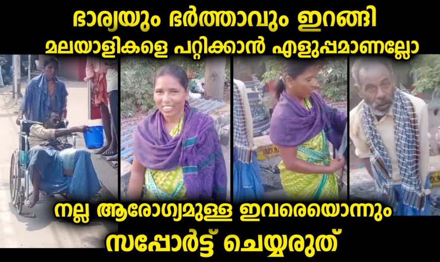 ഭർത്താവിന്റെ ഐഡിയക്ക് ഭാര്യയുടെ സപ്പോർട്ട് കൂടിയായപ്പോൾ വരുമാനം എളുപ്പമായി…