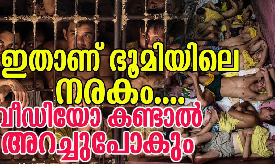 ഇതാണ് ഭൂമിയിലെ നരകം വീഡിയോ കണ്ടാൽ അറച്ചുപോകും