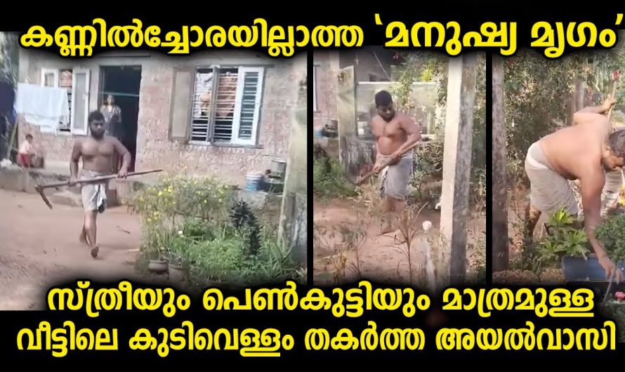 ഇങ്ങനെ ഒരു അയൽക്കാരൻ ഉണ്ടെങ്കിൽ എങ്ങനെ സമാധാനത്തോടെ ജീവിക്കും
