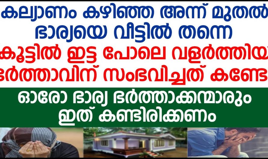 കല്യാണം കഴിഞ്ഞ അന്ന് മുതൽ ഭാര്യയെ വീട്ടിൽ തന്നെ കൂട്ടിൽ ഇട്ട പോലെ വളർത്തിയ ഭർത്താവിന് സംഭവിച്ചത്