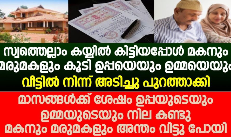 മാസങ്ങൾക്ക് ശേഷം ഉപ്പയുടെയും ഉമ്മയുടെയും നില കണ്ടു മകനും മരുമകളും അന്തം വിട്ടു പോയി…!!