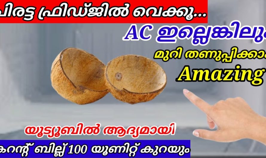 കൊടുംചൂടിൽ മുറി തണുപ്പിക്കാൻ ചിരട്ട മതി കറൻ്റ് ബില്ല് 100 യൂണിറ്റ് കുറയ്ക്കും