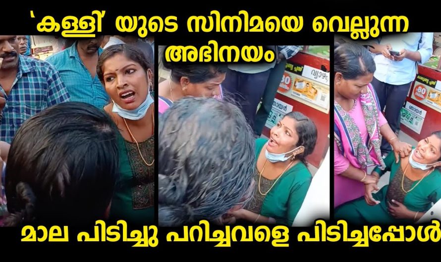 മാന്യയെപ്പോലെ മേക്കപ്പ് ഇട്ട് ഇറങ്ങിയ യുവതിയുടെ സിനിമയെ വെല്ലുന്ന അഭിനയവും നാടകവും