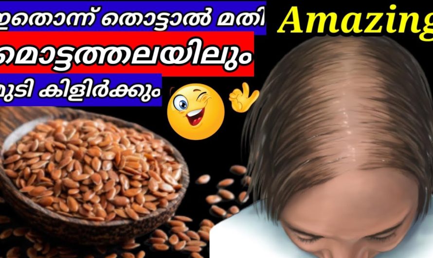 ഇനി മൊട്ടത്തലയിൽ പോലും മുടി കിളിർക്കും സത്യം!