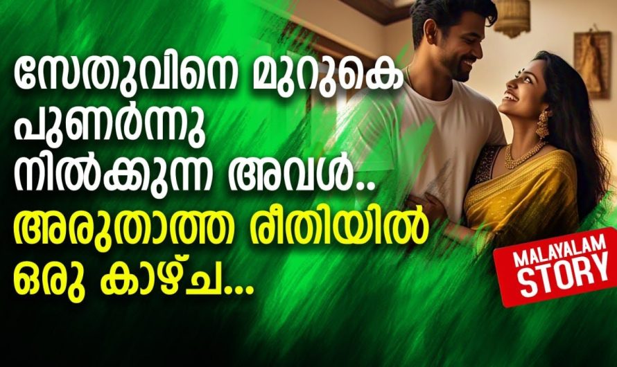 സേതുവിനെ മുറുകെ പുണർന്നു നിൽക്കുന്ന അവളേയാണ് കണ്ടത്.. അരുതാത്ത രീതിയിൽ