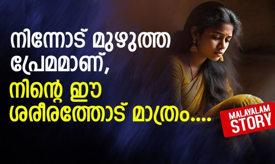 ആരാ നിന്റെ ഇച്ചായൻ.. ഇനി മേലാൽ എന്നെ അങ്ങനെ വിളിച്ച് പോവരുത്