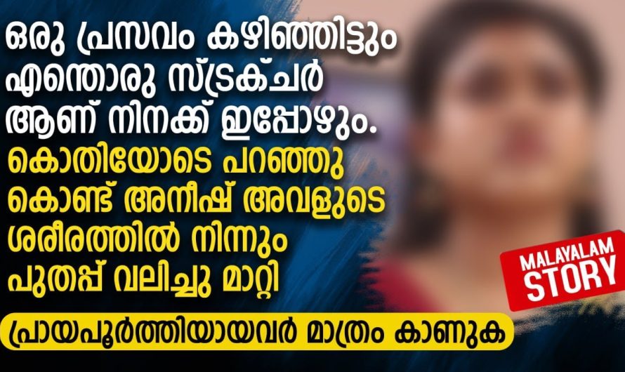 ഒരു പ്രസവം കഴിഞ്ഞിട്ടും എന്തൊരു സ്ട്രക്ചർ ആണ് നിനക്ക് ഇപ്പോഴും