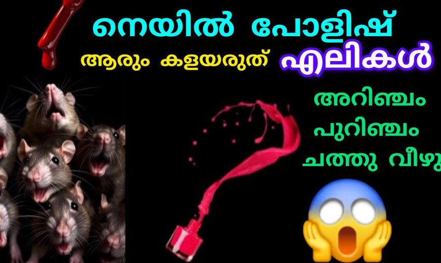 നെയിൽ പോളിഷ് ആരും ഇനി വെറുതെ കളയരുത്