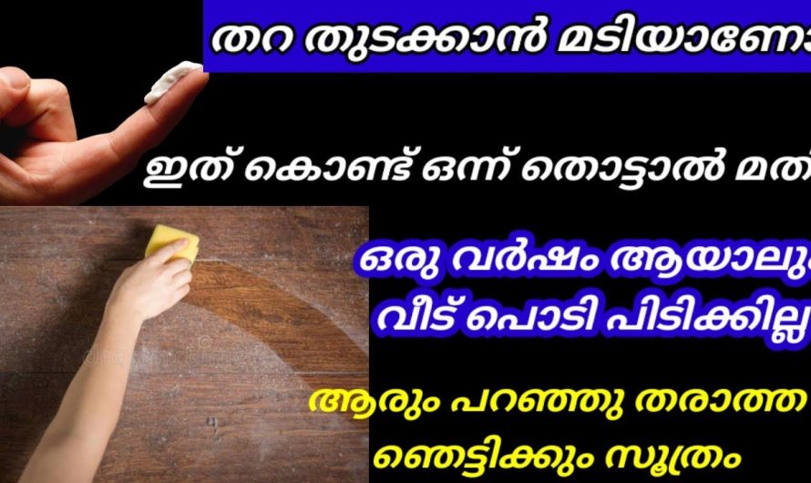 അമ്പമ്പോ ഇങ്ങനെ ചെയ്താൽ ഇനി വർഷം മുഴുവനും വീടു ക്ലീൻ ക്ലീൻ ആയിരിക്കും