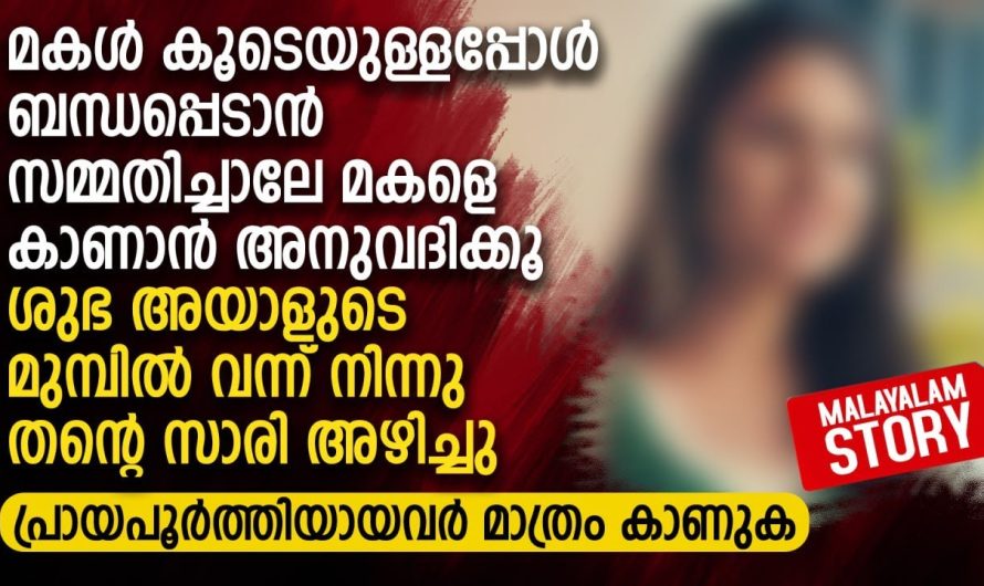 മകൾ കൂടെയുള്ളപ്പോൾ ബ..ന്ധ..പ്പെടാൻ സമ്മതിച്ചാലേ മകളെ കാണാൻ അനുവദിക്കൂ