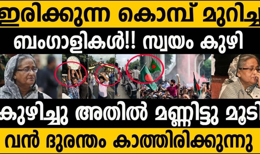 ഇനി വിദേശ ശക്തികള്‍ കയറി നിരങ്ങും!!! സ്വന്തം കുഴി കുഴിച്ച മണ്ടന്മാര്‍!!!