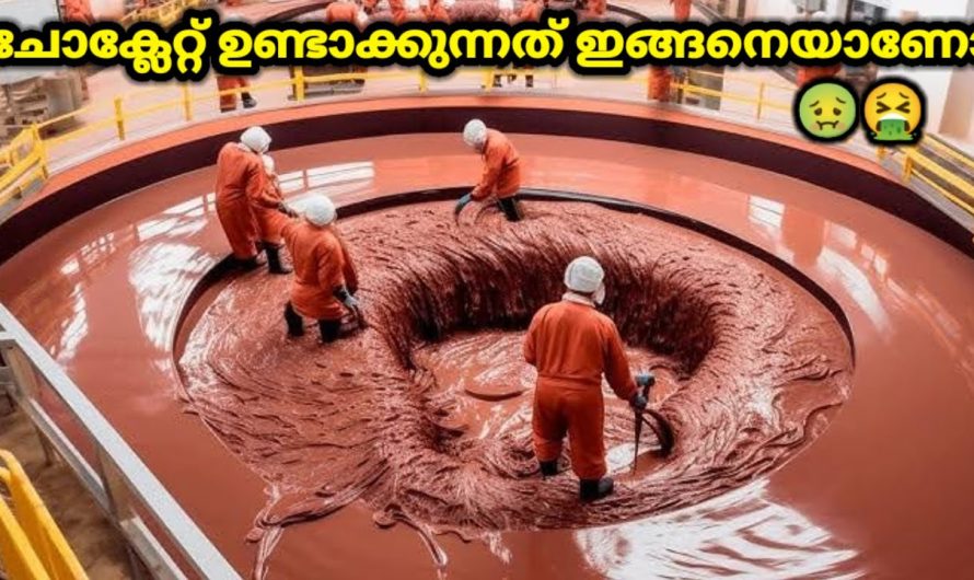 ചോക്ലേറ്റ് ഫാക്ടറിയിൽ ചോക്ലേറ്റ് നിർമ്മിക്കുന്നത് കണ്ടിട്ടുണ്ടോ?..😱