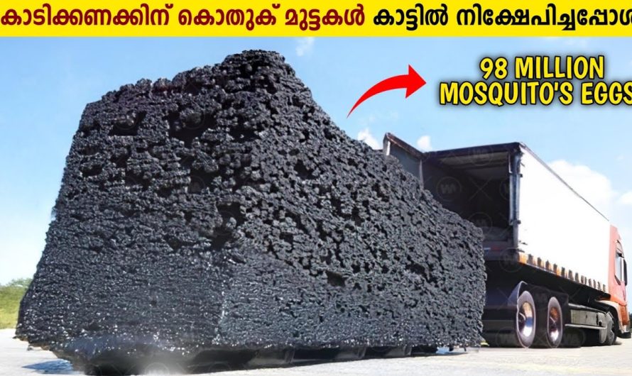 എന്തിനാണ് കോടിക്കണക്കിന് കൊതുക് മുട്ടകൾ അമരിക്ക തുറന്ന് വിട്ടത്?😱