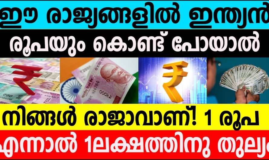 ഈ രാജ്യങ്ങളിൽ ഇന്ത്യൻ രൂപയും കൊണ്ട് പോയാൽ നിങ്ങൾ രാജാവാണ്