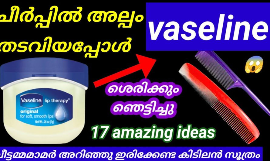 വാസ്ലൈനിൽ ഇങ്ങനെ ഒരു രഹസ്യമോ ശെരിക്കും ഷോക്ക് ആവും 😱