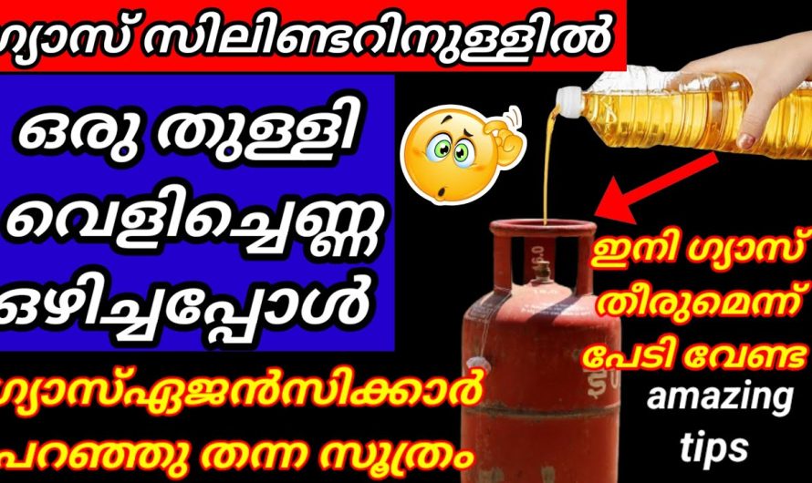 ഗ്യാസ് സിലിണ്ടറിൽ ഒരു തുള്ളി വെളിച്ചെണ്ണ ഒഴിച്ചാലുള്ള മാറ്റം നിങ്ങളെ ശെരിക്കും ഞെട്ടിക്കും