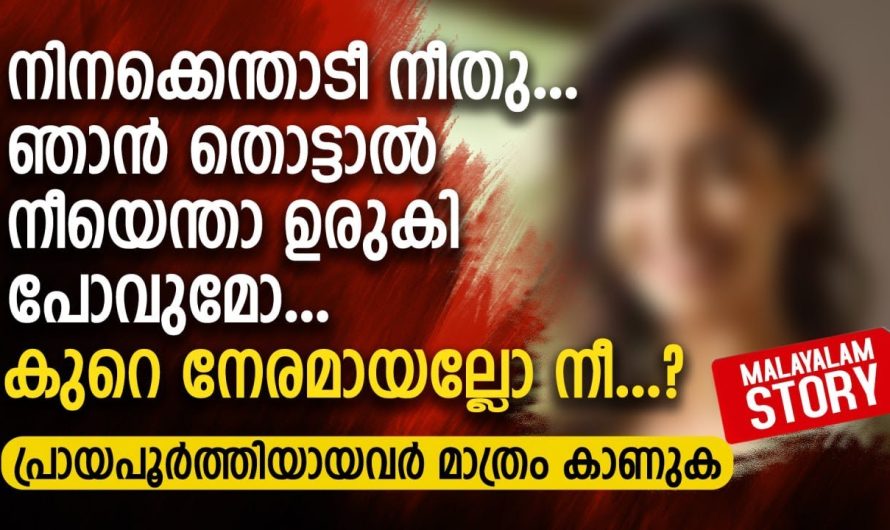 നിനക്കെന്താടീ നീതു.. ഞാൻ തൊട്ടാൽ നീയെന്താ ഉരുകി പോവുമോ