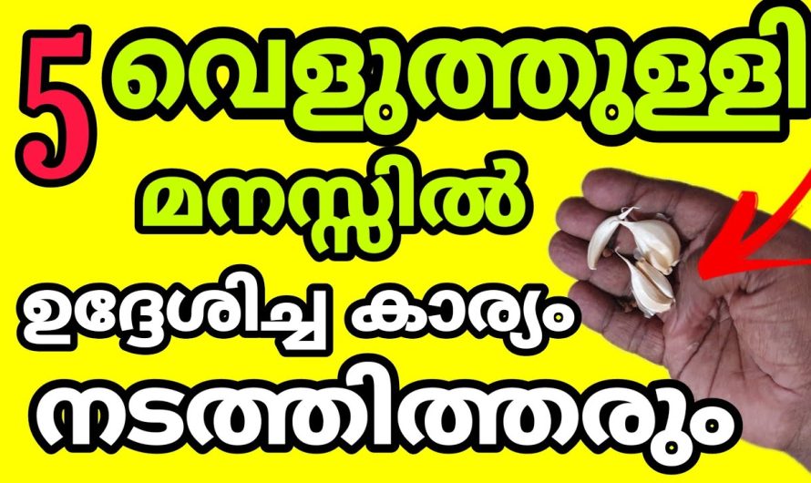 ആഗ്രഹിക്കാതെ പൊയഏത് ആഗ്രഹവും സാധിക്കും