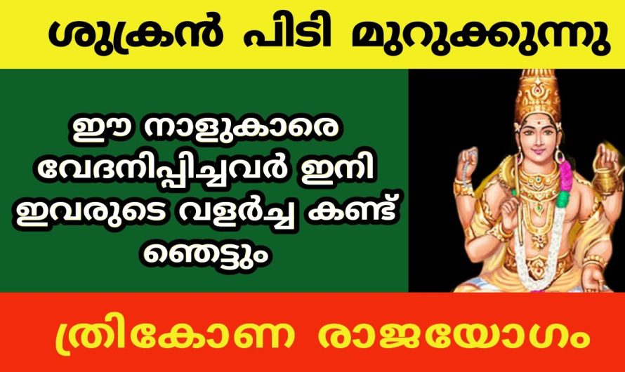ഈ നാളുകാരെ വേദനിപ്പിച്ചവർ ഇനി ഇവരുടെ വളർച്ച കണ്ട് ഞെട്ടും