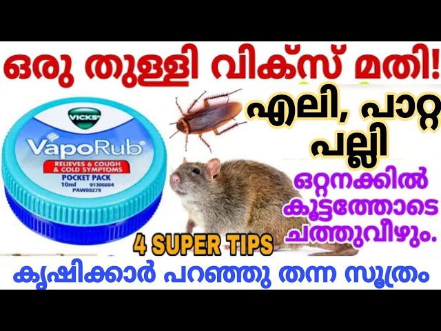 ഇത് ഒരു തുള്ളി മതി എലി, പല്ലി, പാമ്പ് പാറ്റ ജെൻമത്ത് വീട്ടിൽ വരില്ല