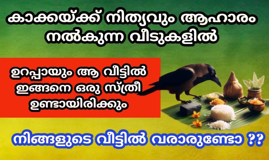 കാക്കയ്ക്ക് നിത്യവും ആഹാരം നൽകുന്ന വീടുകളിൽ ഇങ്ങനെ ഒരു സ്ത്രീ ഉണ്ടായിരിക്കും