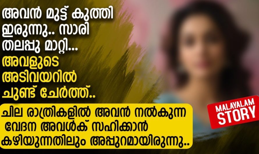 അവൻ മുട്ട്കു.ത്തി ഇരുന്നു സാരി തലപ്പു മാറ്റി