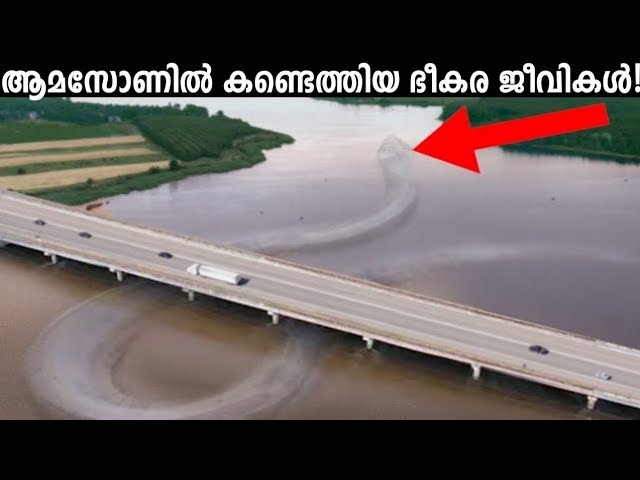 ആമസോണിലെ ഭീകര ജീവികൾ