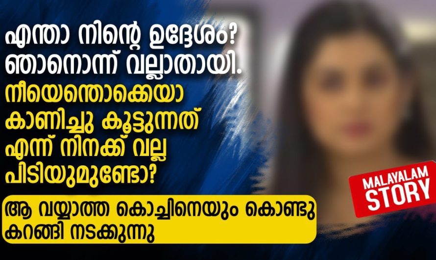 നീയെന്തൊക്കെയാ കാണിച്ചു കൂട്ടുന്നത് എന്ന് നിനക്ക് വല്ല പിടിയുമുണ്ടോ