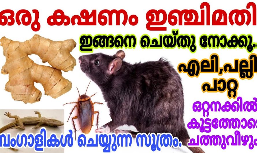 ബംഗാളികൾ ചെയ്യുന്ന സൂത്രം
