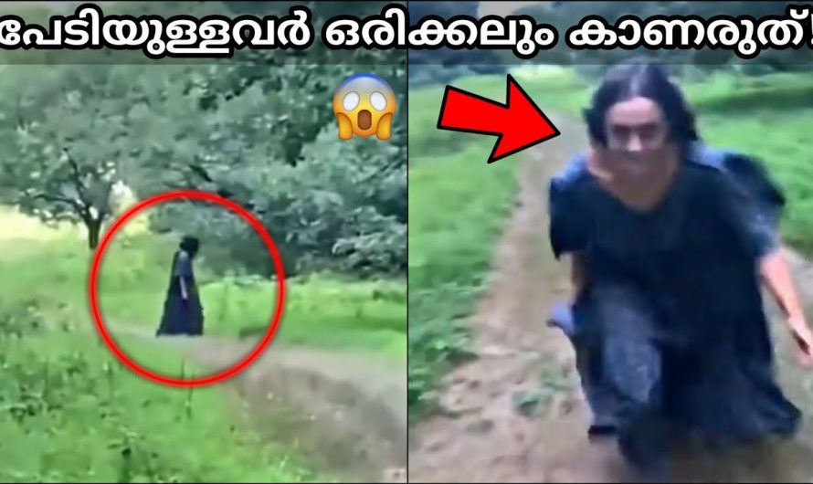 പ്രേതങ്ങൾ ക്യാമറയിൽ പതിഞ്ഞപ്പോൾ!