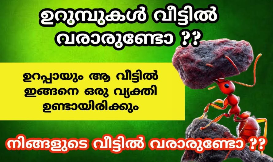 ഉറുമ്പുകൾ വീട്ടിൽ വരാരുണ്ടോ ??