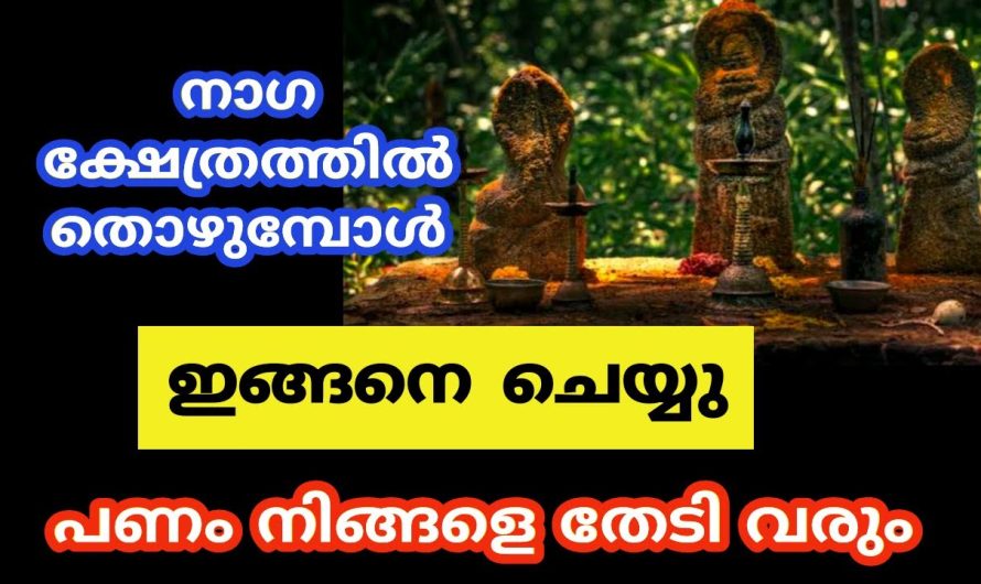 നാഗങ്ങളെ തൊഴുമ്പോൾ മറക്കാതെ ചെയ്യേണ്ട കാര്യം