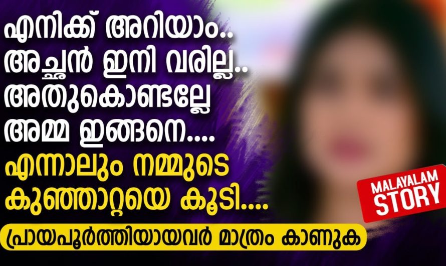 എനിക്ക് അറിയാം.. അച്ഛൻ ഇനി വരില്ല.. അതുകൊണ്ടല്ലേ അമ്മ ഇങ്ങനെ..
