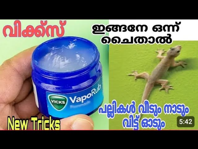 ഇത് നിസ്സാരക്കാരനല്ല എലി, പല്ലി, പാമ്പ്, പാറ്റ ഇനി വീട്ടിൽ വരില്ല