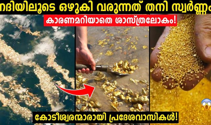 സ്വർണ്ണം ഒഴുകുന്ന ഇന്ത്യയിലെ നദി