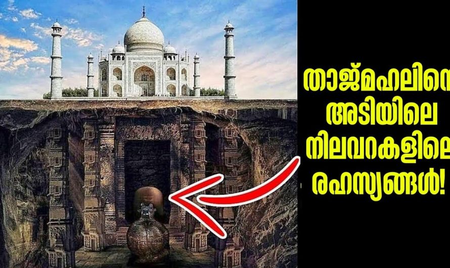 ലോകത്തിലെ ഏറ്റവും നിഗൂഢമായ നിലവറകൾ!