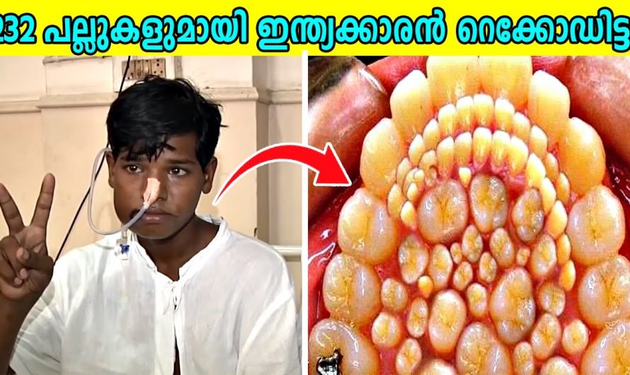 ഇതുവരെ കാണാത്ത അതിശയിപ്പിക്കുന്ന കാര്യങ്ങൾ