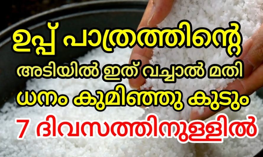 ഉപ്പിന്റെ അടിയിൽ ഇത് വച്ചാൽ മതി