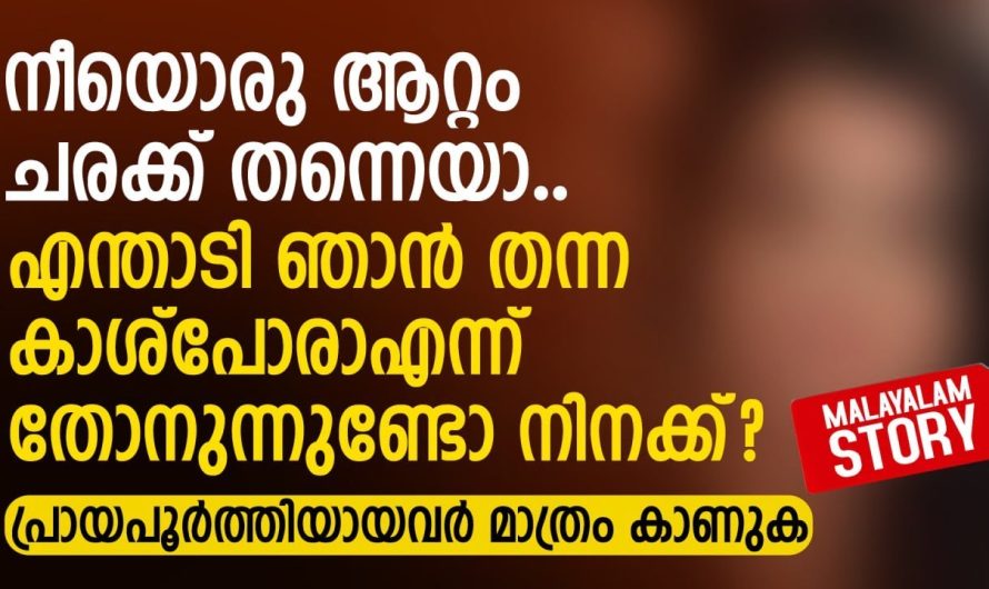നീയൊരു ആറ്റം ചരക്ക് തന്നെയാ.. എന്താടി ഞാൻ തന്ന കാശ്പോരാ എന്ന് തോനുന്നുണ്ടോ